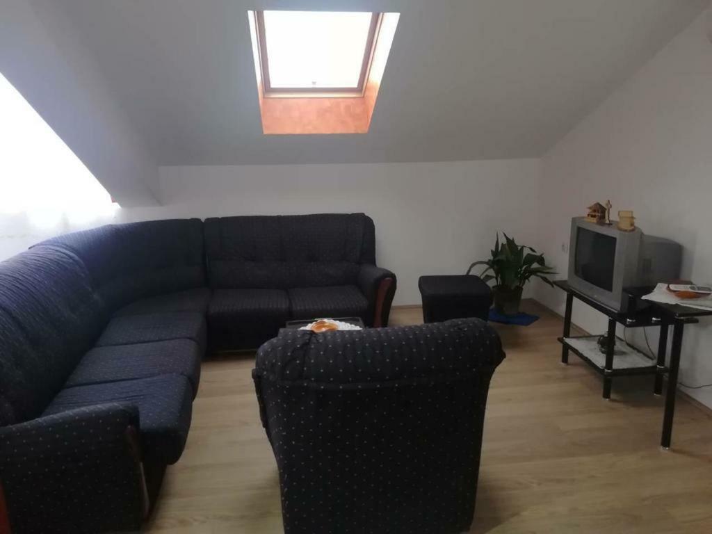 Apartman Ivana Ica Soko Banja Exterior photo
