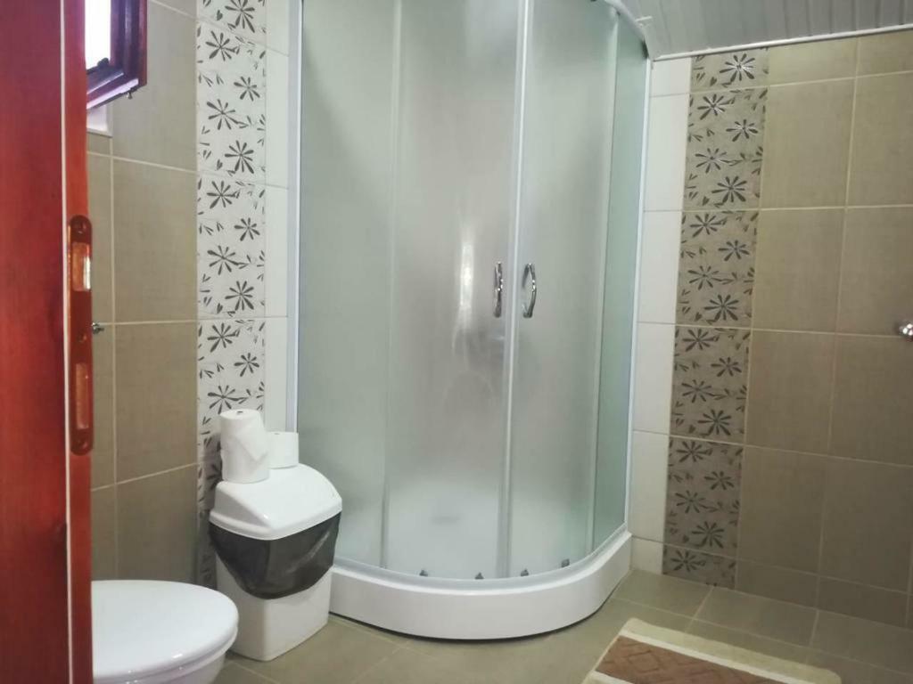 Apartman Ivana Ica Soko Banja Exterior photo